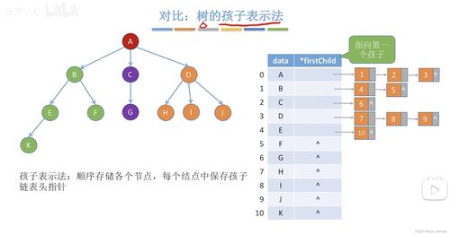 数据结构中的领接表法 高效图存储与数据处理解析