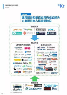 大数据服务行业研究报告 完整版ppt